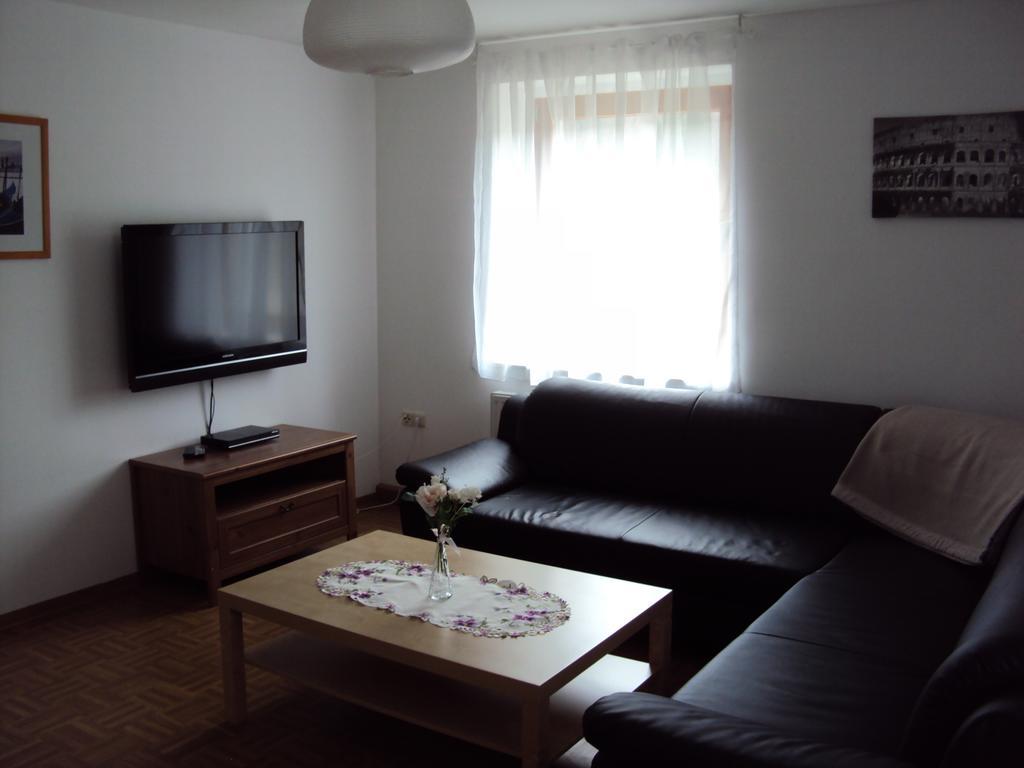 Apartments Ski Sonne Rehe Rehefeld-Zaunhaus エクステリア 写真