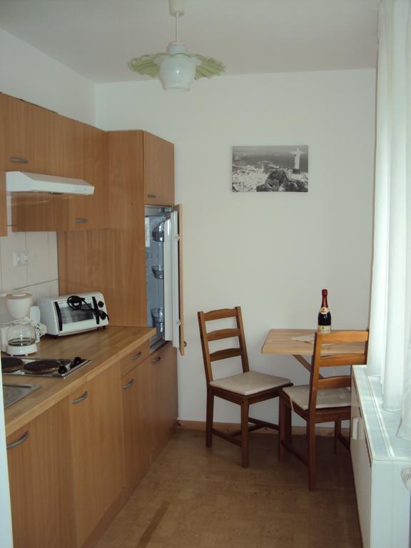 Apartments Ski Sonne Rehe Rehefeld-Zaunhaus エクステリア 写真